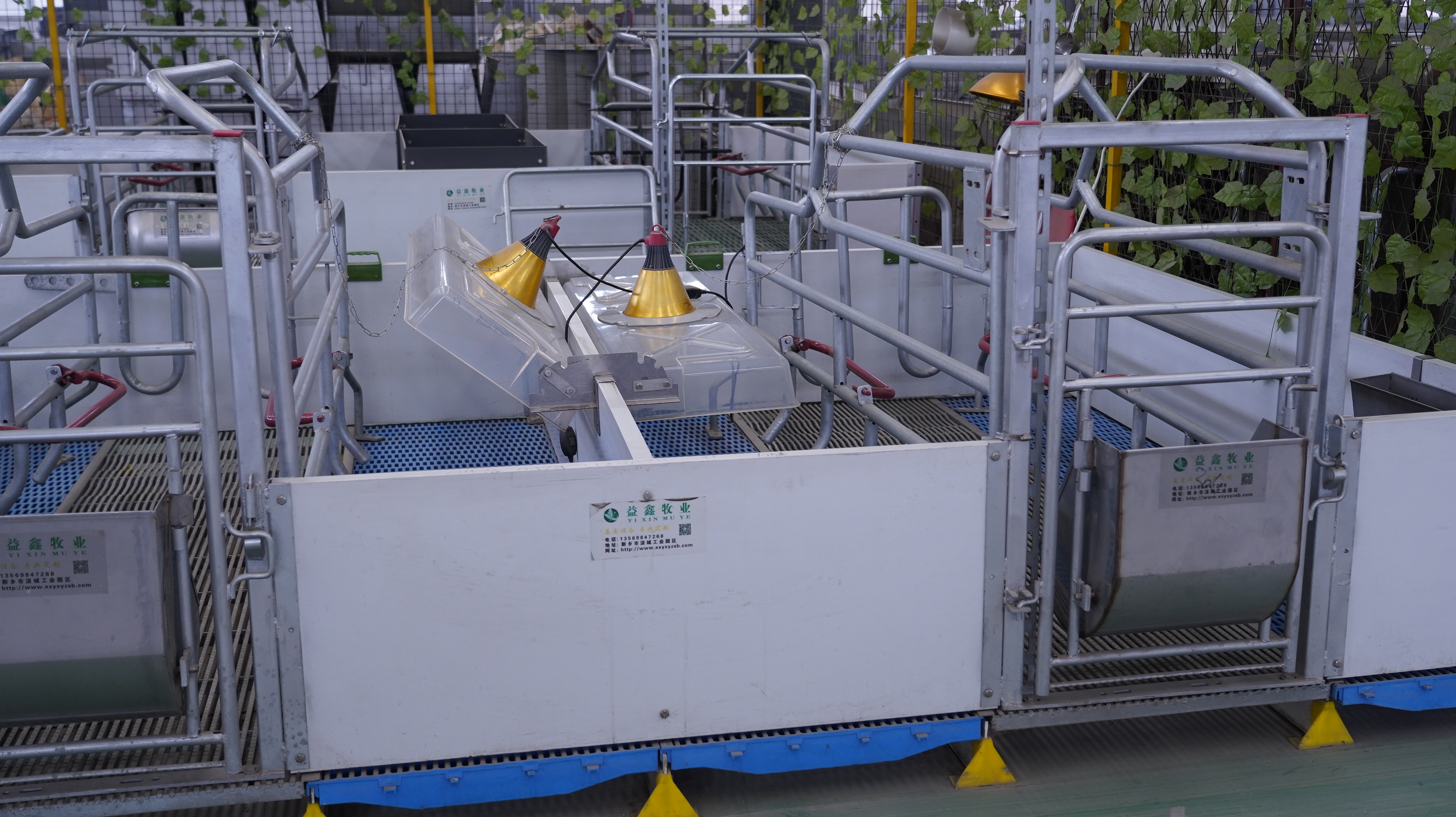 如何選擇合適的母豬產(chǎn)床？